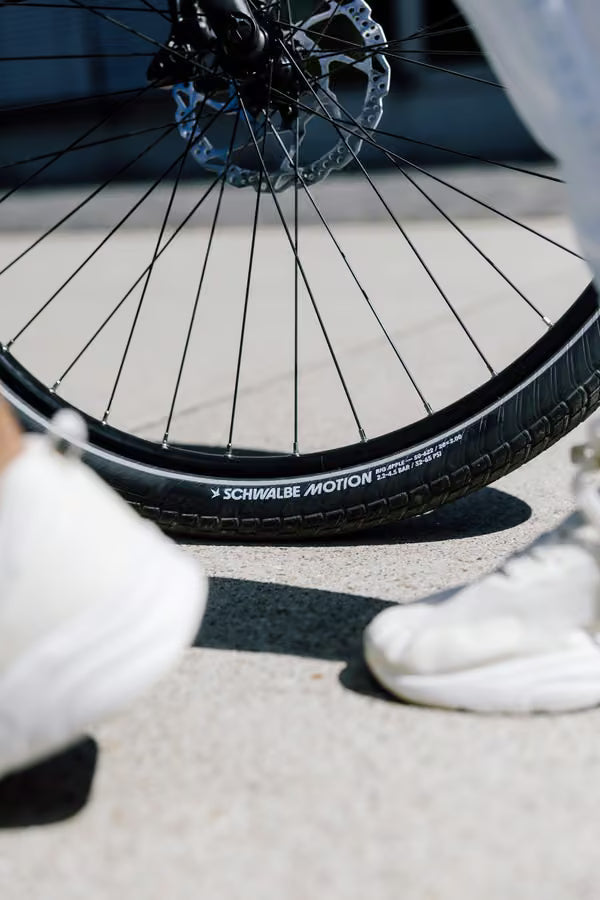 Schwalbe Motion Big Apple 27.5