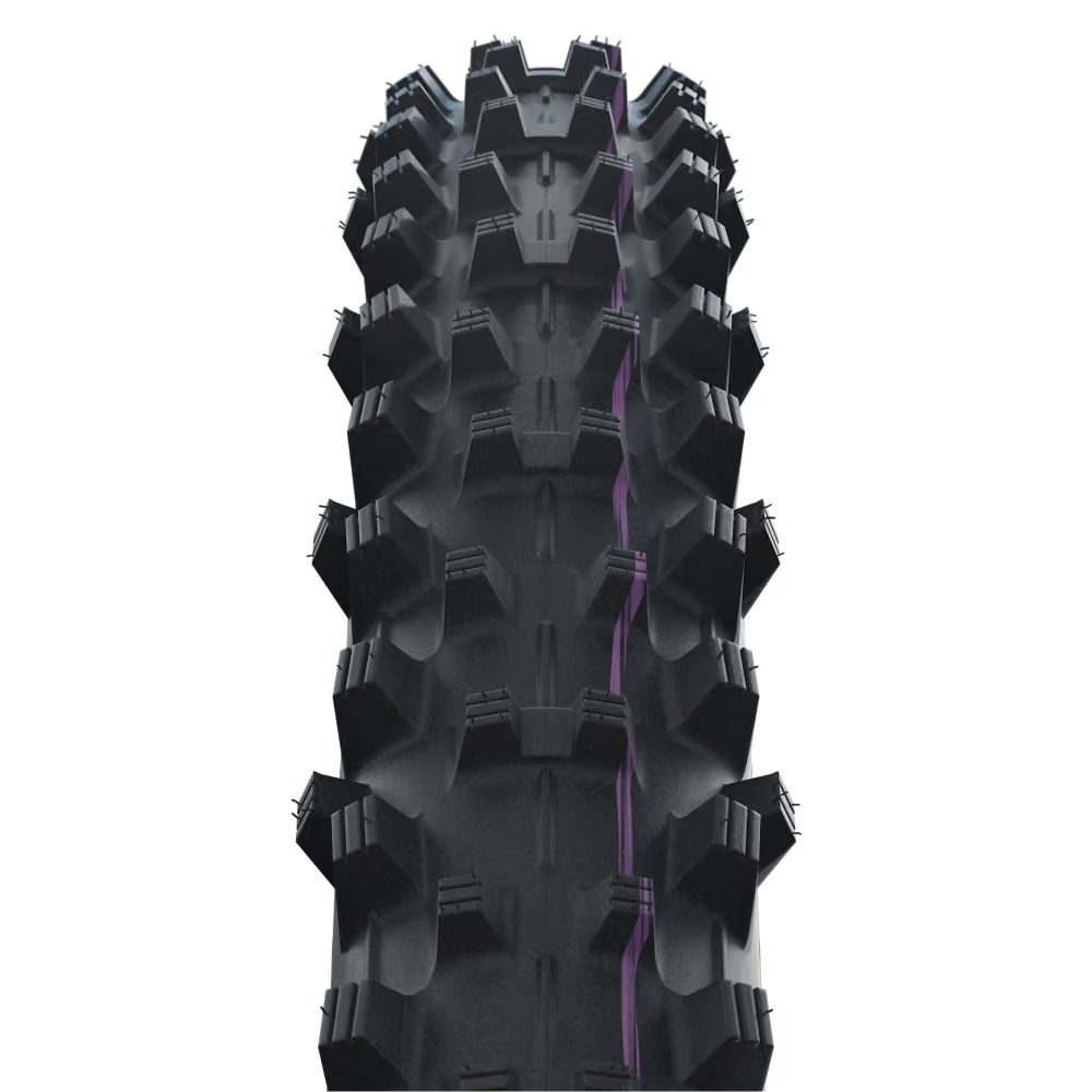 Schwalbe Tyre Dirty Dan