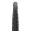 Schwalbe Tyre Lugano II Endurance