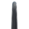Schwalbe Tyre Lugano II Endurance