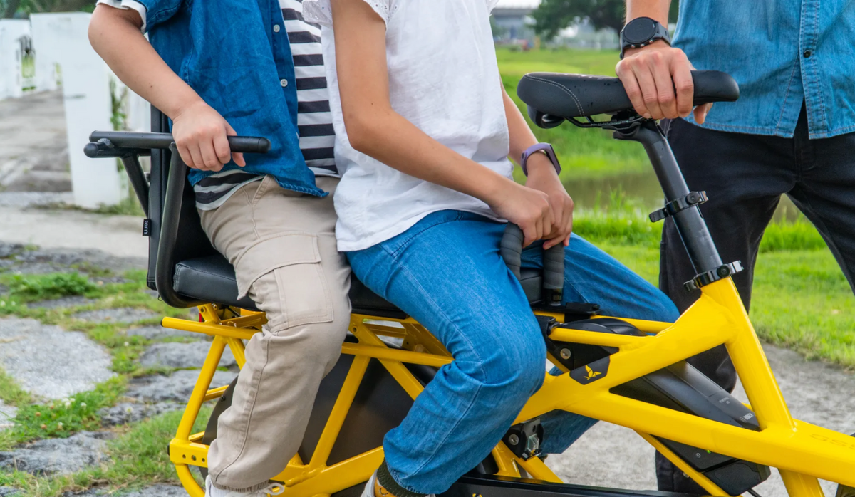 Tern Sidekick Handle