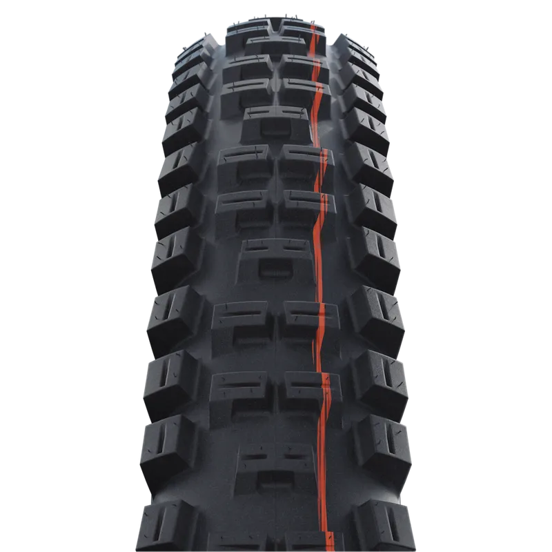 Schwalbe Tyre Big Betty