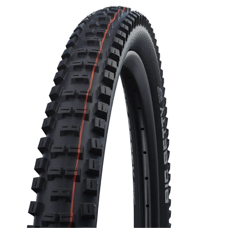 Schwalbe Tyre Big Betty