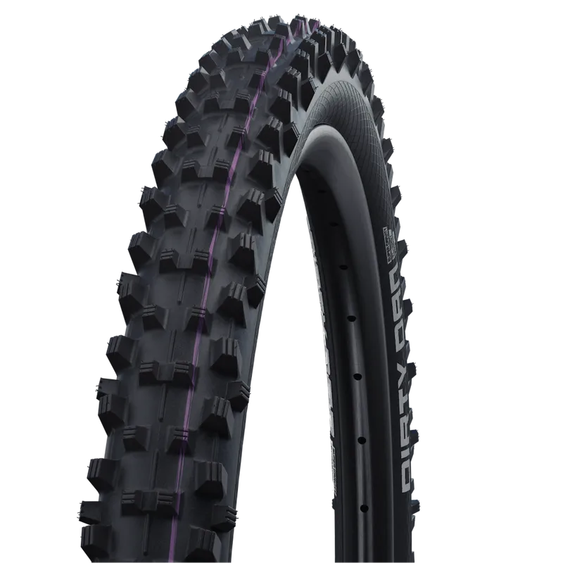 Schwalbe Tyre Dirty Dan