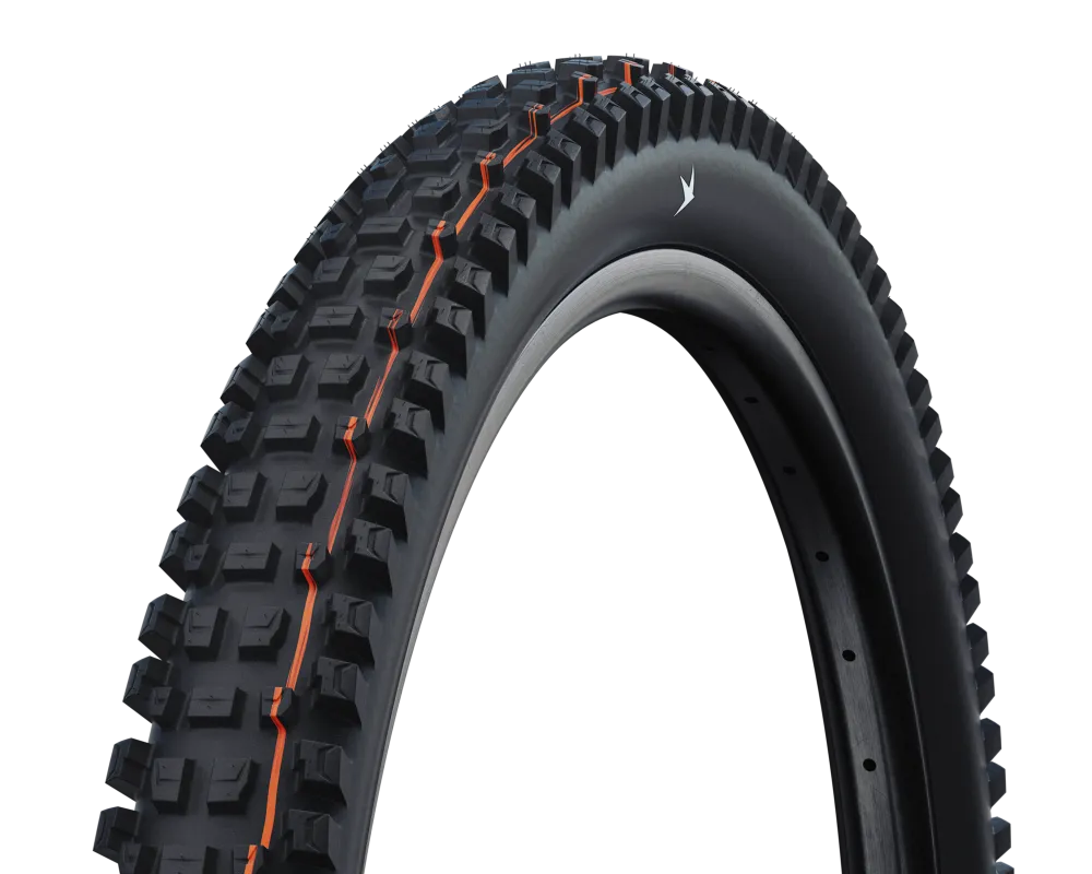 Schwalbe Tyre Albert Radial
