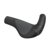 Ergon GP2 Evo