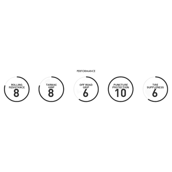 Panaracer Gravelking SS + Tyre