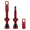 Peaty's Chris King Tubeless Valves (MK1)