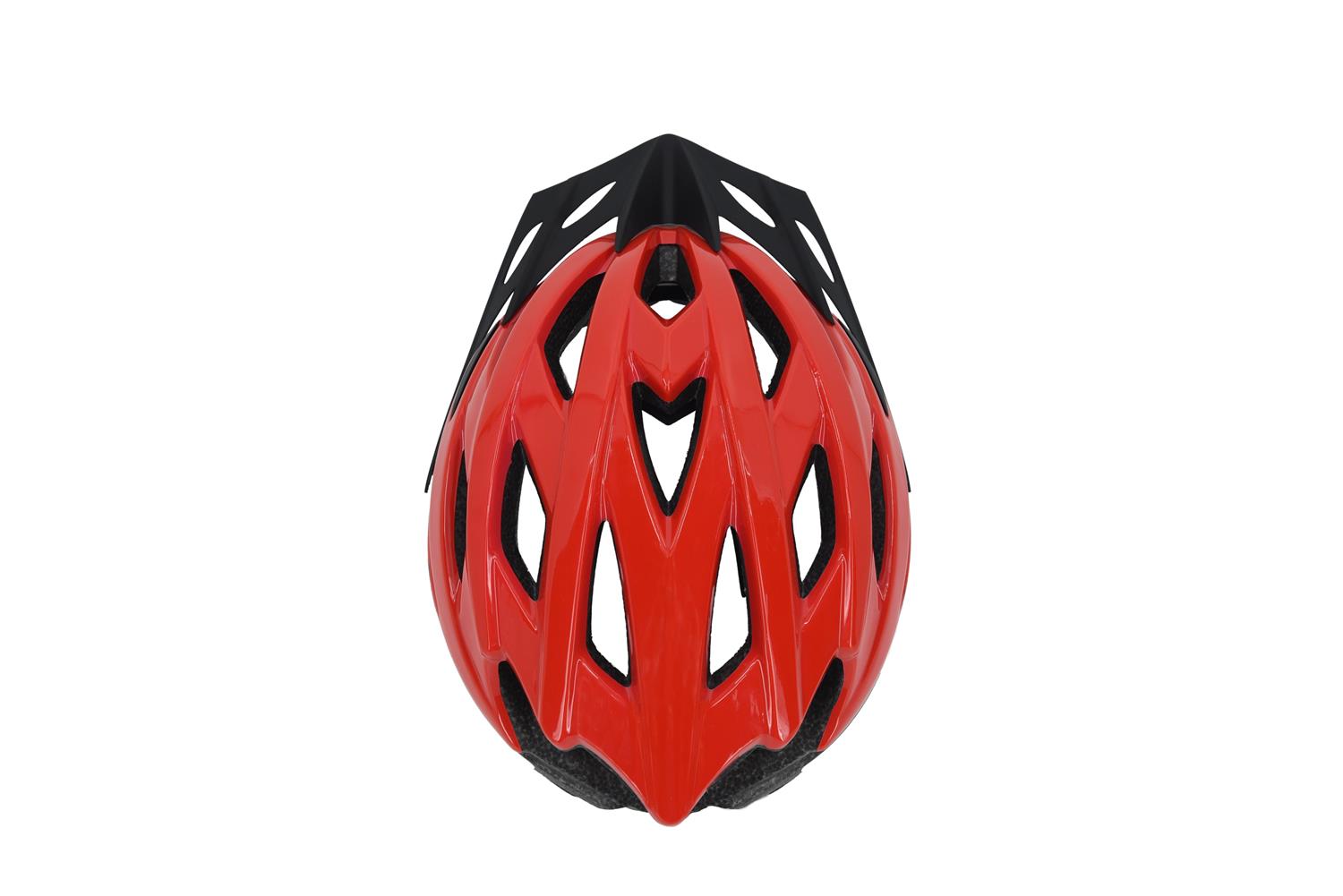 Safety Labs Piste Helmet