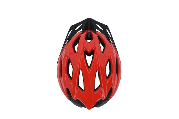 Safety Labs Piste Helmet