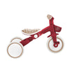 Globber LEARNING TRIKE 3in1 PLUS Ecological