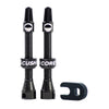 CushCore Valves