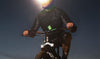 Bone Collection Domestique