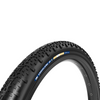 Panaracer Gravelking X1 + Tyre