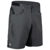 Zoic Mens Ether 12" Shorts