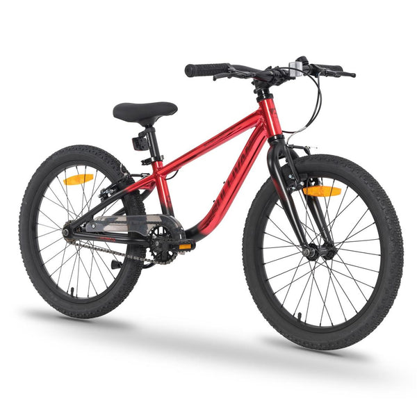 Sullivan Biomechanix Pro 20" Kids Bike