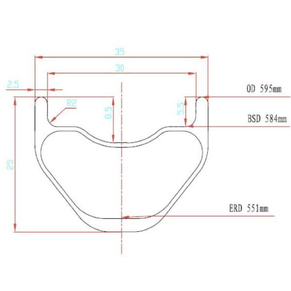 Roam Carbon Rims