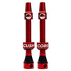 CushCore Valves