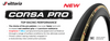 Vittoria Corsa Pro 2.0 Tubular Para-Black