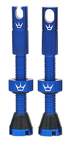Peaty's Chris King MK2 Tubeless Valve 42mm