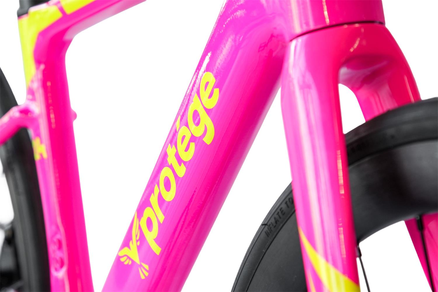 Protege Fastrace 24