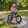 Sullivan Biomechanix V4 16" Kids Bike
