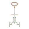 Globber LEARNING TRIKE 3in1 PLUS Ecological