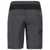 Zoic Mens Ether 12" Shorts