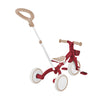 Globber LEARNING TRIKE 3in1 PLUS Ecological