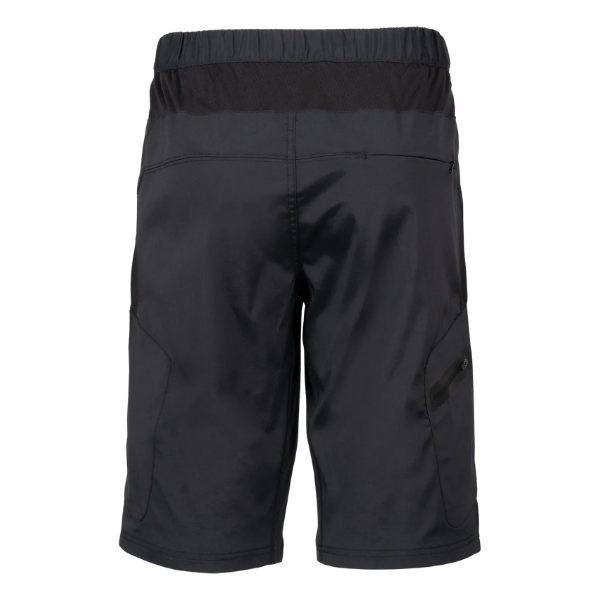 Zoic Mens Ether 12" Shorts