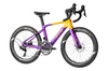Protege Lightning Rider 24" Carbon Road Bike