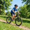 Sullivan Biomechanix V4 20" Kids Bike