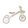 Globber LEARNING TRIKE 3in1 PLUS Ecological