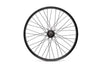 Salt Wheel Rear Everest 9T 20"
