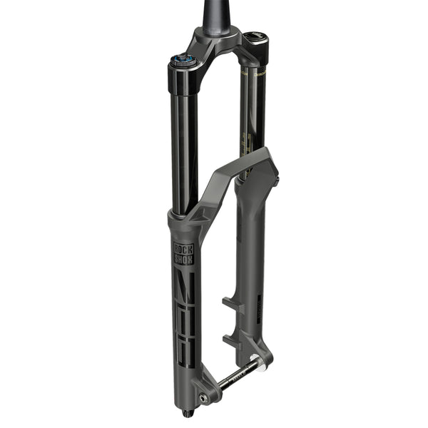 RockShox Domain B1+ (2022+) Fork Spare Parts