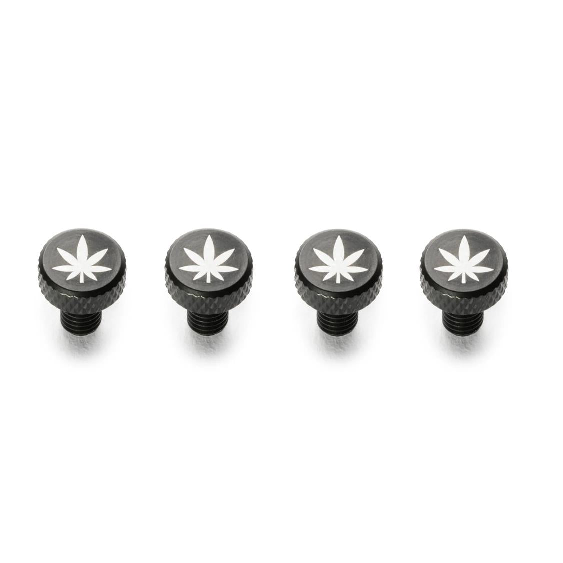 PDW Zit Bitz Frame Bolts