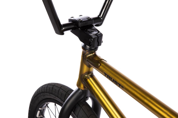 Wethepeople Trust CS