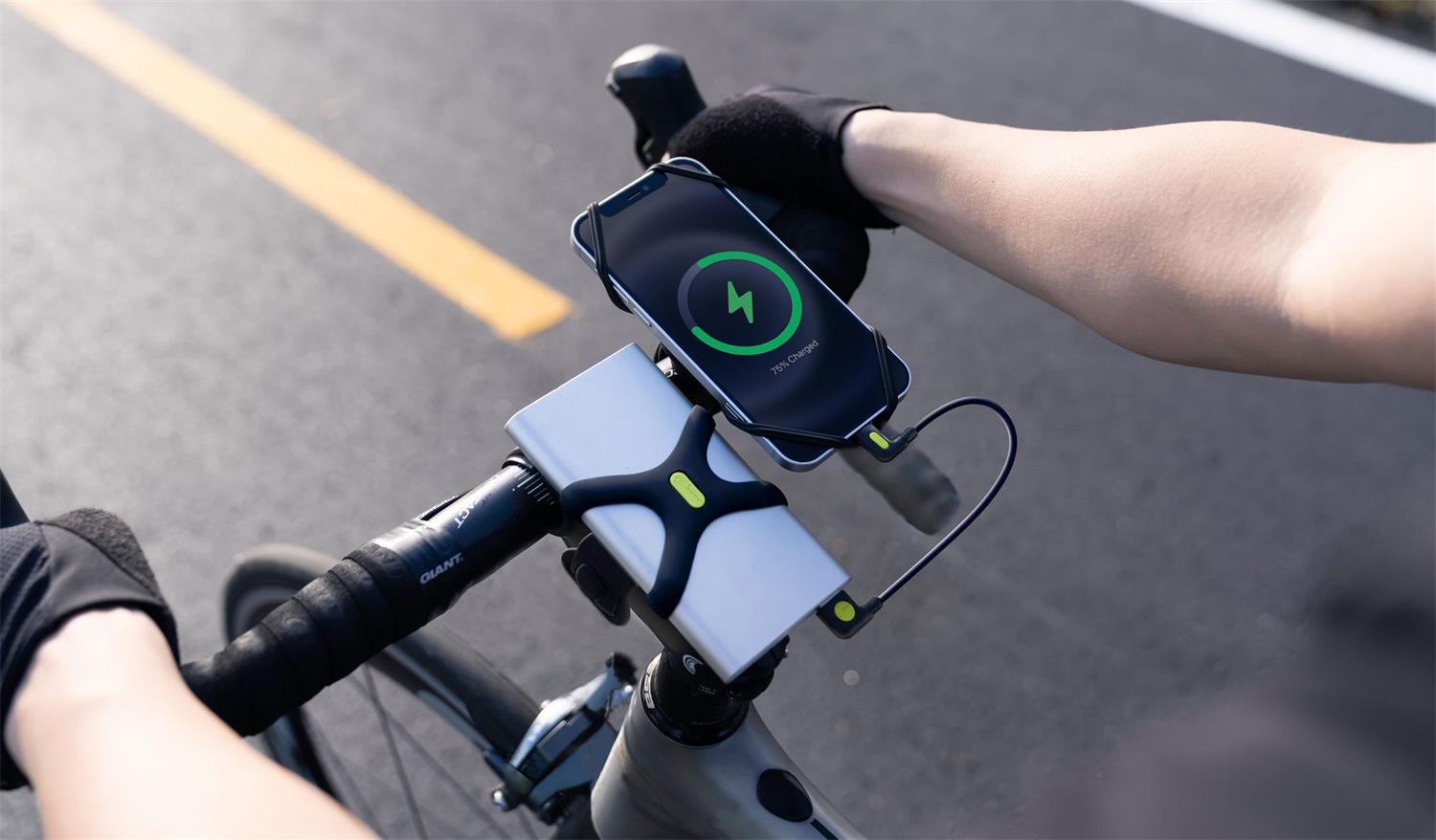 Bone Colletion Phone Charger Accessory Kit