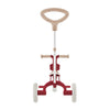 Globber LEARNING TRIKE 3in1 PLUS Ecological