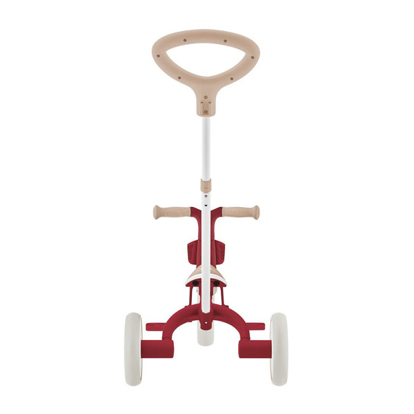 Globber LEARNING TRIKE 3in1 PLUS Ecological