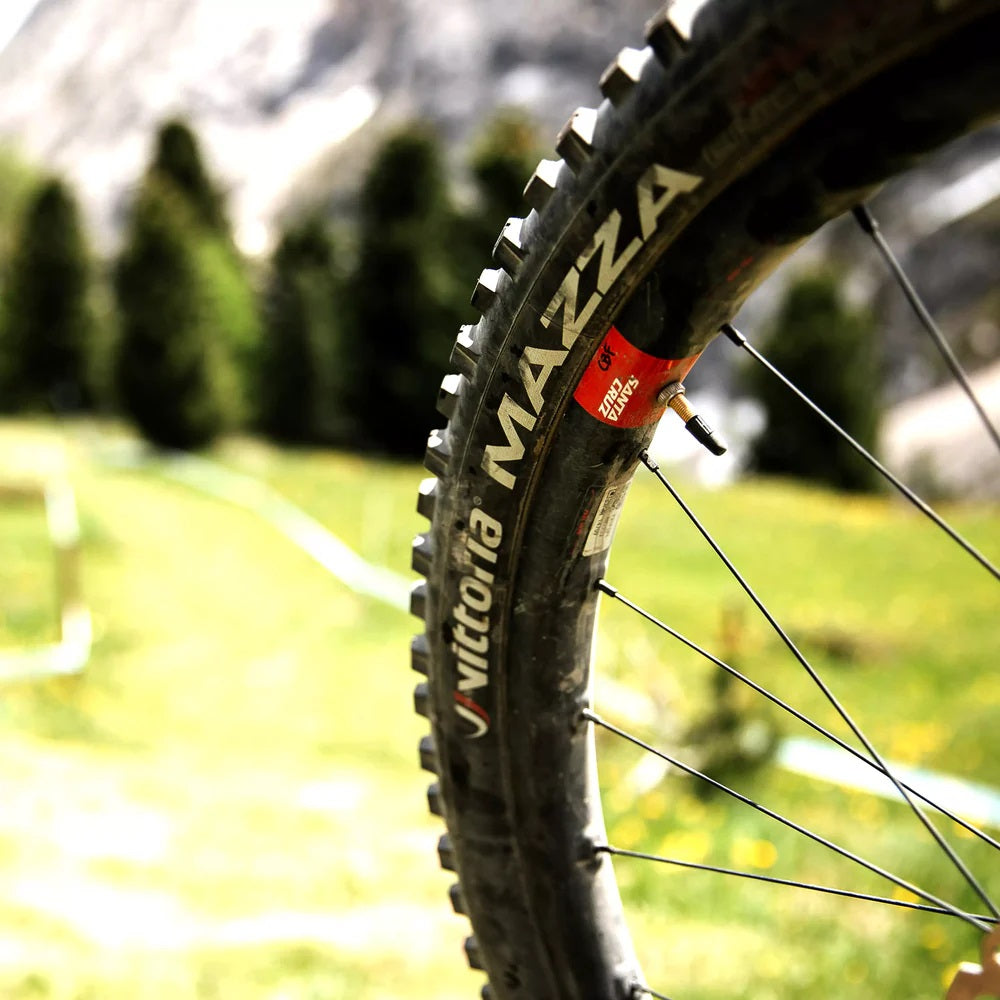 Vittoria 27.5