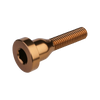 Burgtec Top Cap Bolts