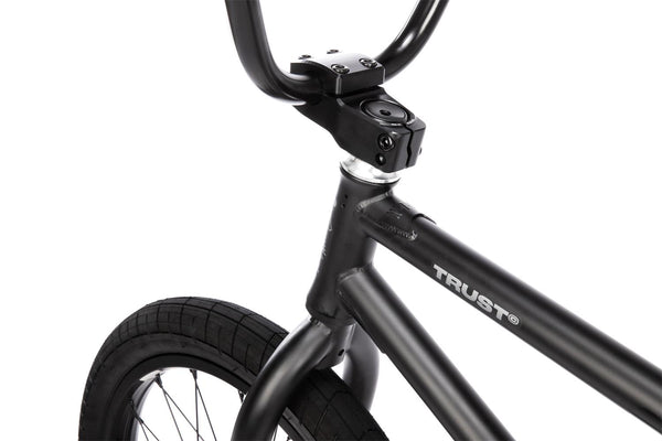Wethepeople Trust CS