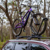 Yakima SKS