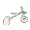 Globber LEARNING TRIKE 3in1 PLUS Ecological