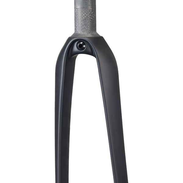 Ritchey WCS Carbon Road Fork
