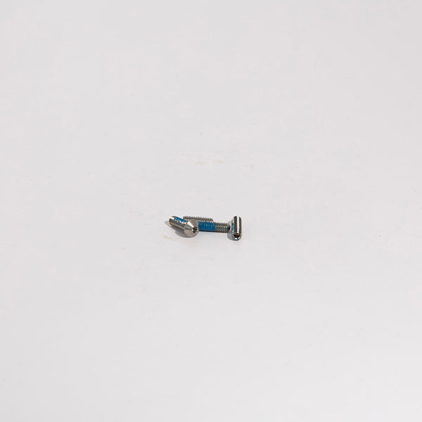Campagnolo Rear Derailleur Spare Parts