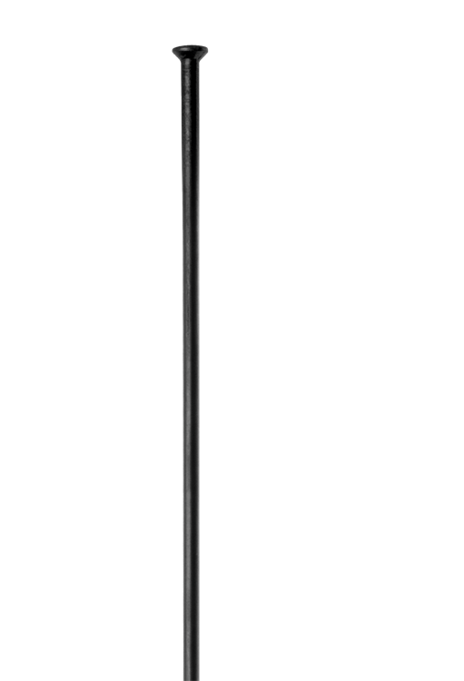 DT Swiss Spoke Champion Straight Pull 2.0mm Black