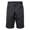 Zoic Mens Ether 12" Shorts