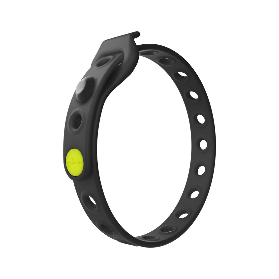 Bone Collection Bike Strap Lite